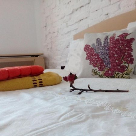 Grandpa'S Room 锡吉什瓦拉 外观 照片