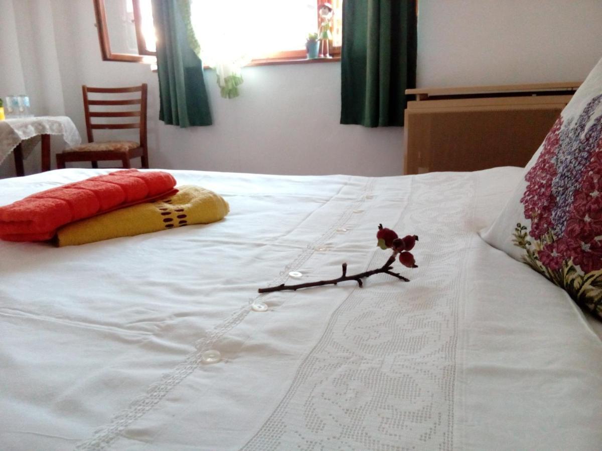 Grandpa'S Room 锡吉什瓦拉 外观 照片